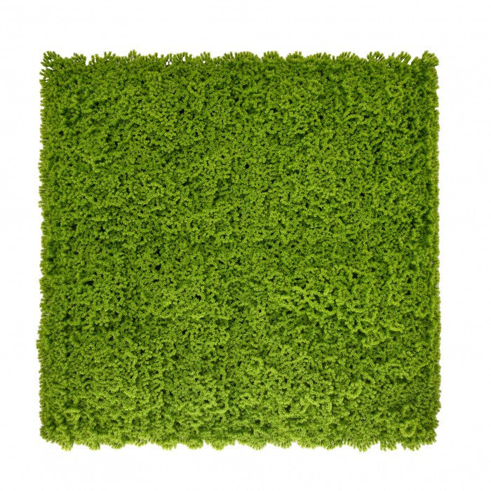 Műnövény falpanel, 50 × 50 cm-es moha zöldfal - Homelux, 5905610253776 Glavna slika